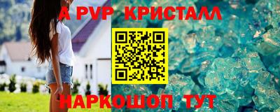крисы Кинель