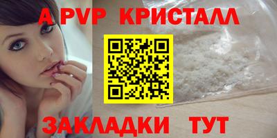 герыч Кингисепп