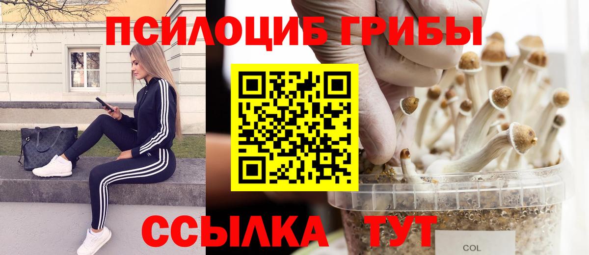 Псилоцибиновые грибы Cubensis  Вход с VPN  Галлюциногенные грибы MAGIC MUSHROOMS  Урюпинск 